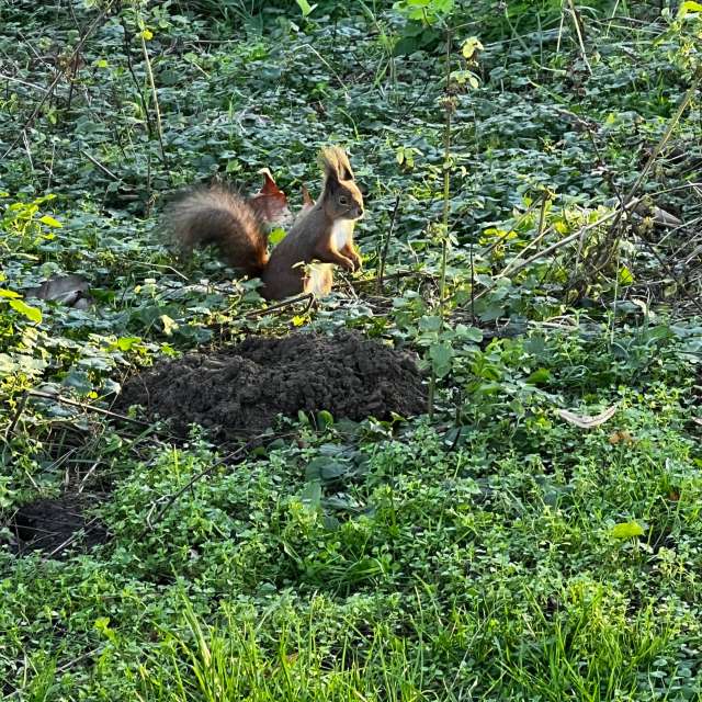 Grassy. Weather forecasts with beautiful photos by InnaMoon Photos in Chisinau