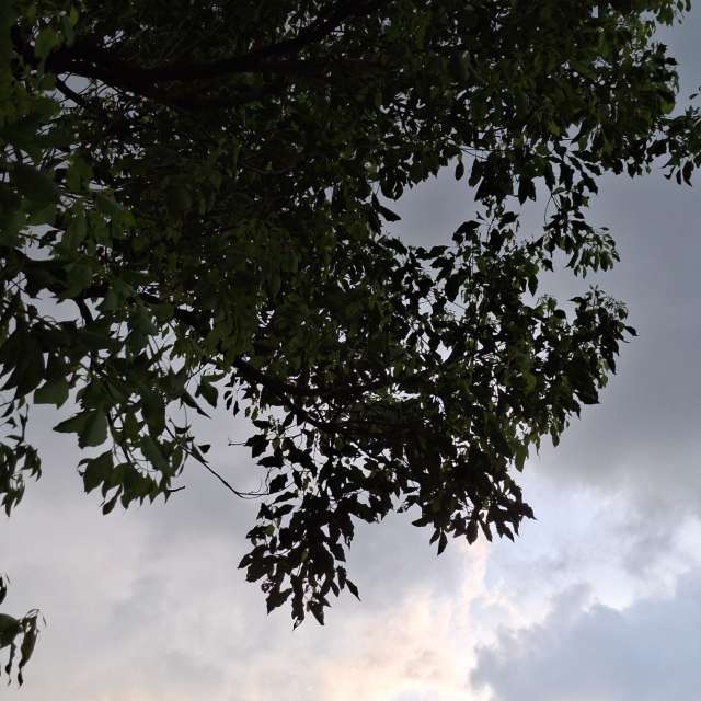 Photos Beach. Prévisions météo avec de superbes photos de Wen-ya Huang de Kaohsiung