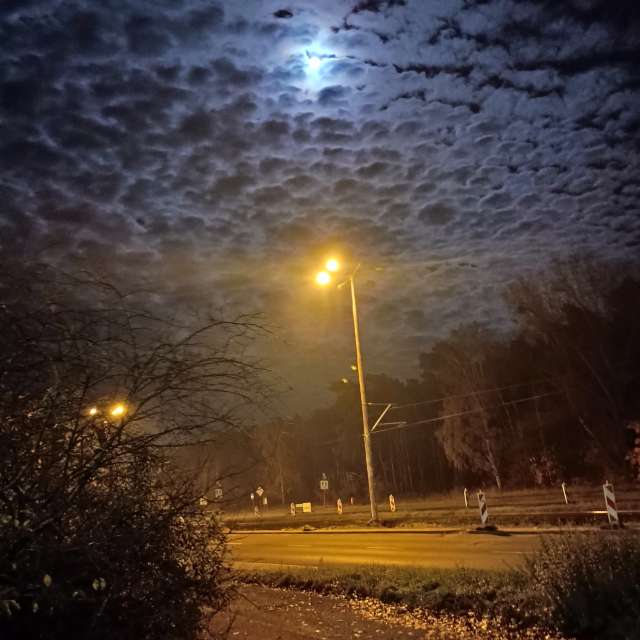 Snow. Weather forecasts with beautiful photos by David0ffx Photos in World