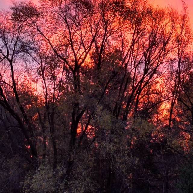 Riding. Weather forecasts with beautiful photos by ccdn0630 Photos in Barrie