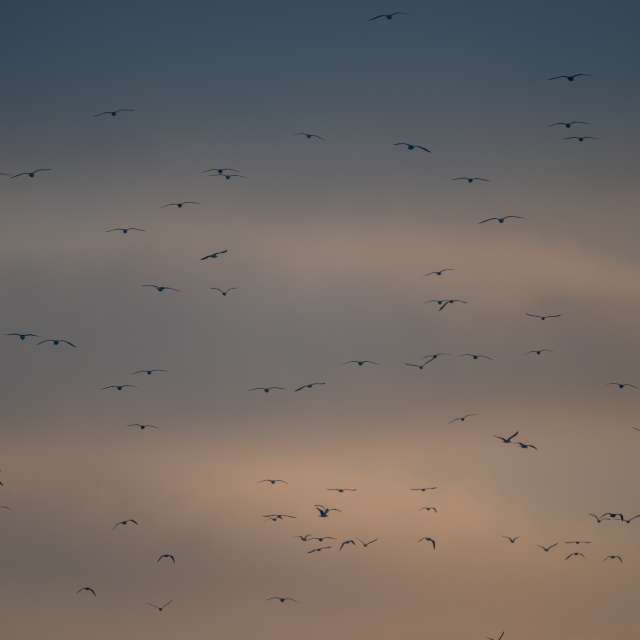 Previsões do tempo com lindas fotos de ooee