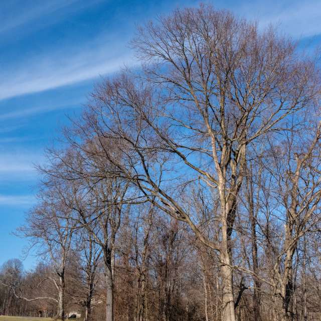 Прогнозы погоды с чудесными фотографиями, сделанными krantzjh