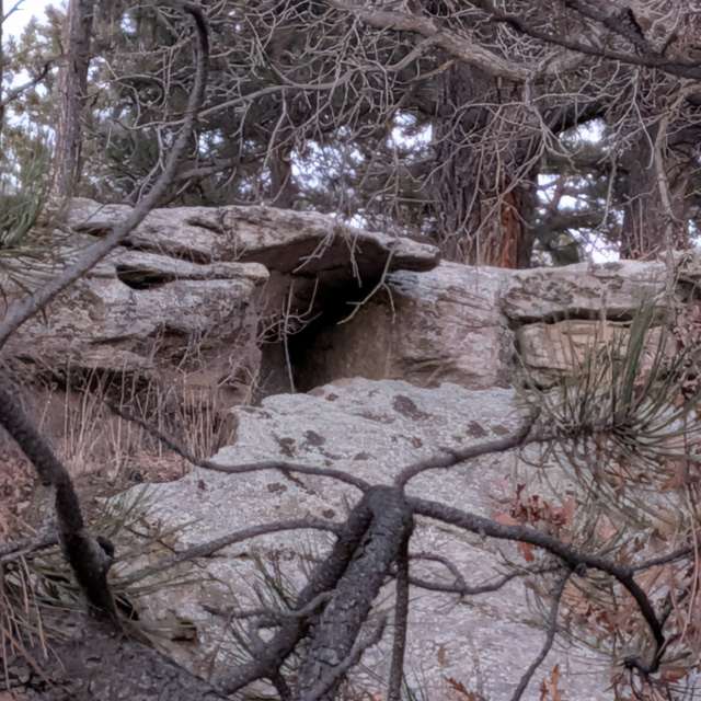 Bear. Weather forecasts with beautiful photos by BonnieC85 Photos in World