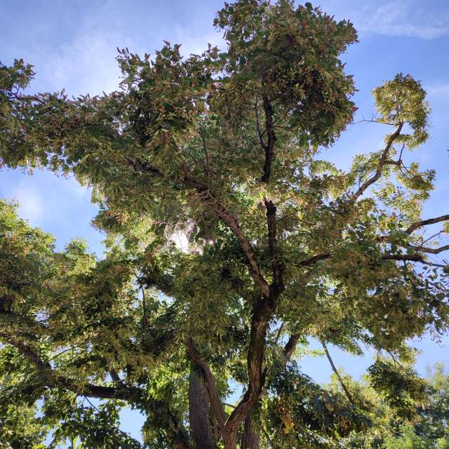 Food. Weather forecasts with beautiful photos by Tercis Photos in Ettlingen