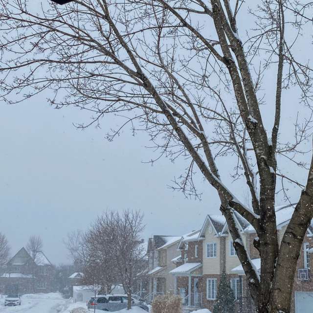 Pronósticos del tiempo con hermosas fotos de Lulu5523