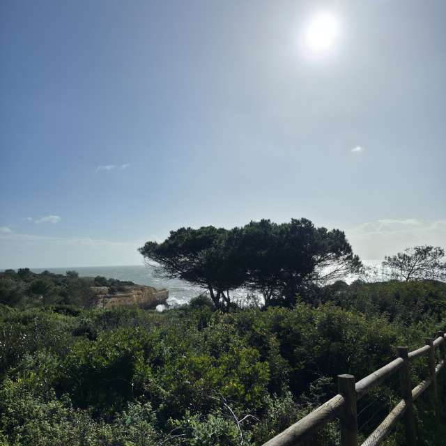 Brtdの美しい写真による天気予報