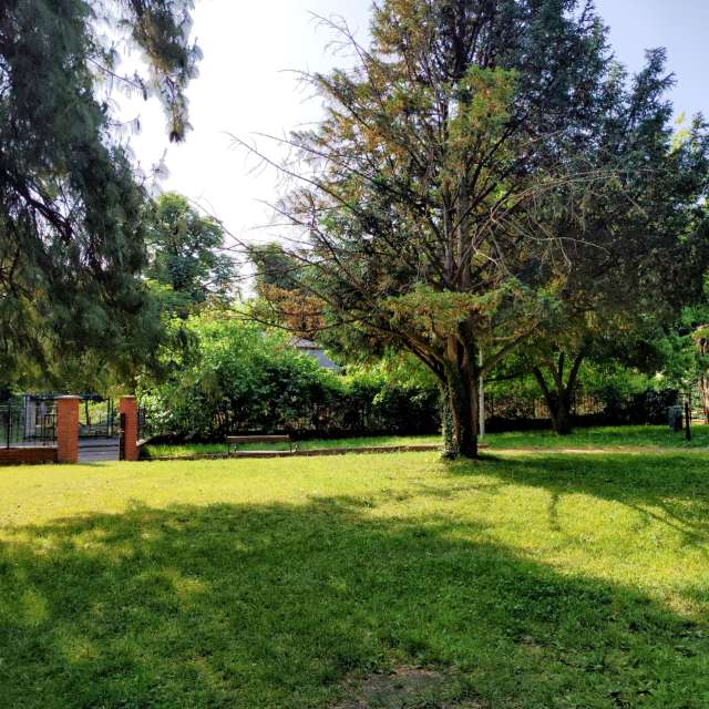 sloaraiの美しい写真による天気予報