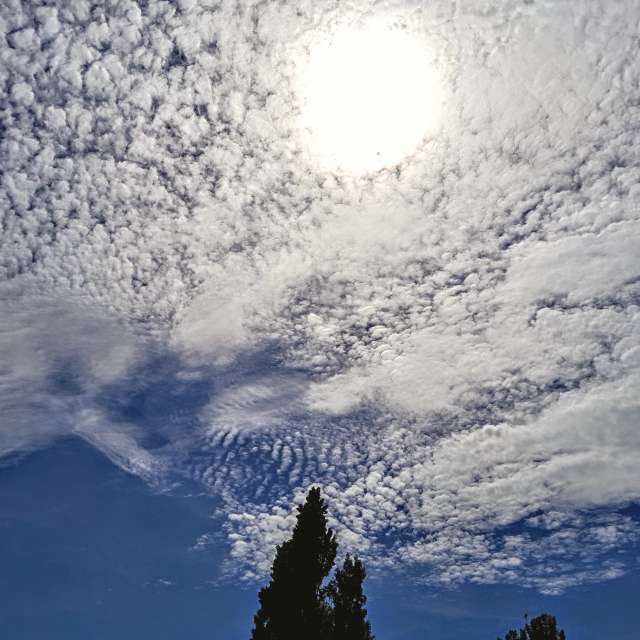 天气预报，带Wiesiek精美的照片