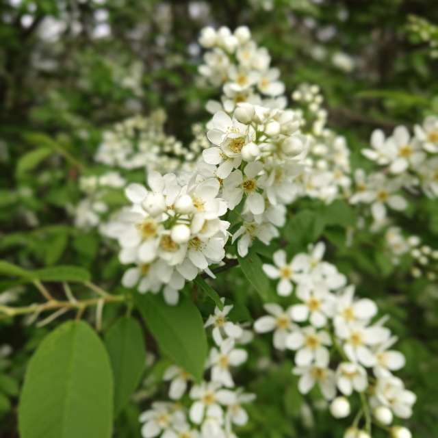 Weather Photos in World. Weather forecasts with beautiful photos by Amanda_and_Valdemar_Che