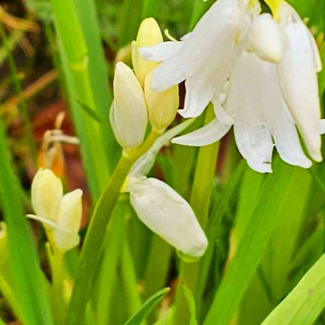 Fotos Comendo. Previsões do tempo com lindas fotos de Seni em Velbert