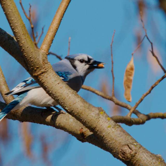 Dự báo thời tiết với những bức ảnh đẹp của krantzjh