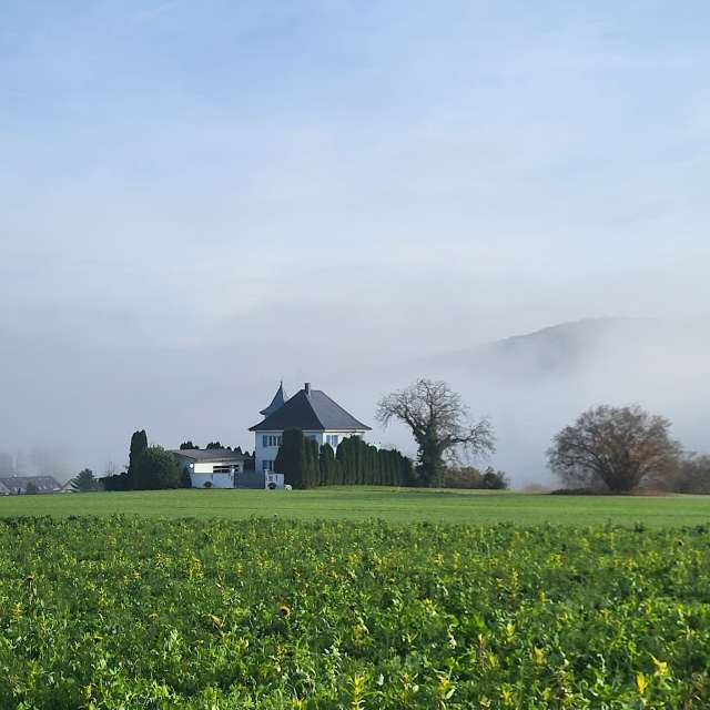 Weather forecasts with beautiful photos by aida-khaldi