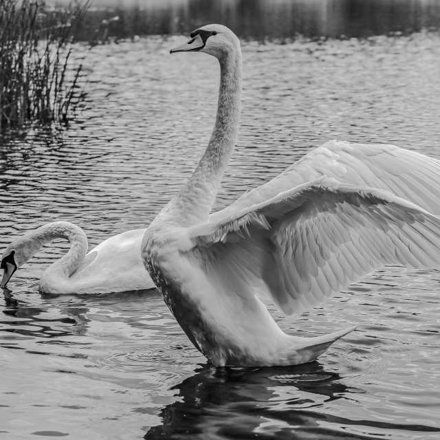 Прогнозы погоды с чудесными фотографиями, сделанными derlops