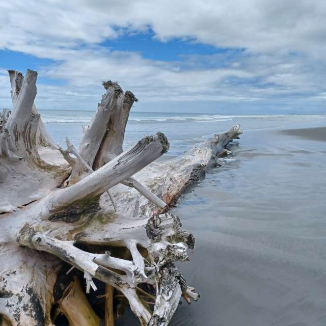 Прогнозы погоды с чудесными фотографиями, сделанными Hikey