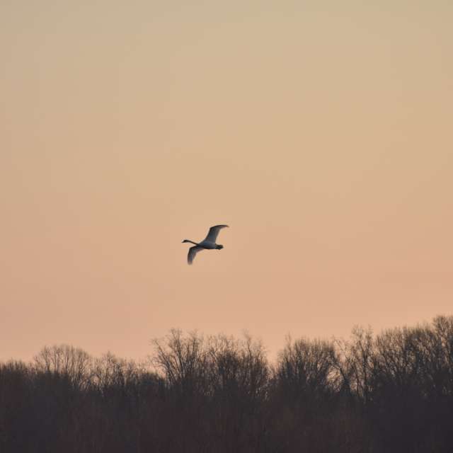 Field. Weather forecasts with beautiful photos by krantzjh Photos in World