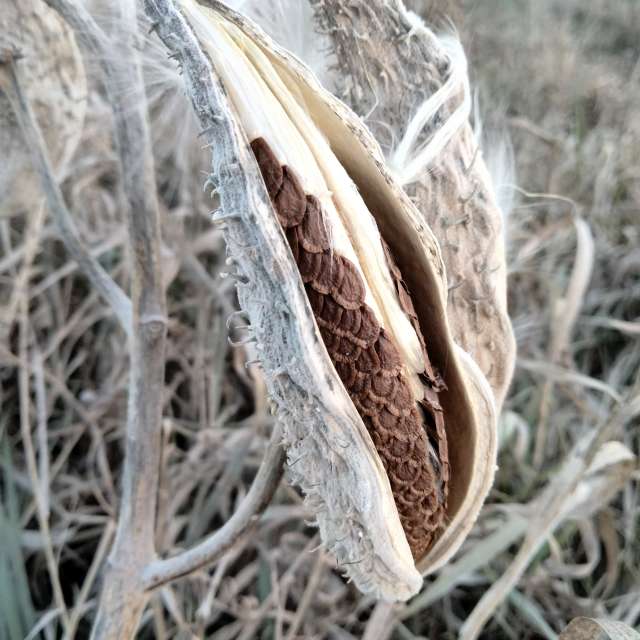 Weather forecasts with beautiful photos by Kate72