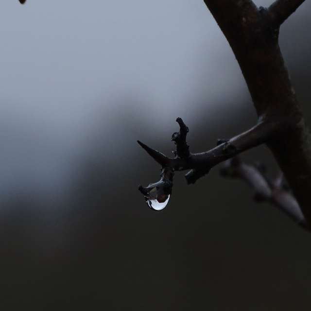 Fotos do tempo em Mundo. Previsões do tempo com lindas fotos de Vasek325