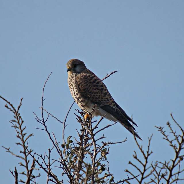 Weather forecasts with beautiful photos by tony5636