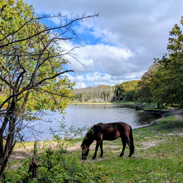 Pronósticos del tiempo con hermosas fotos de soykika