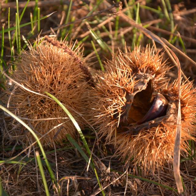 Fotos do tempo em Mundo. Previsões do tempo com lindas fotos de kriotis