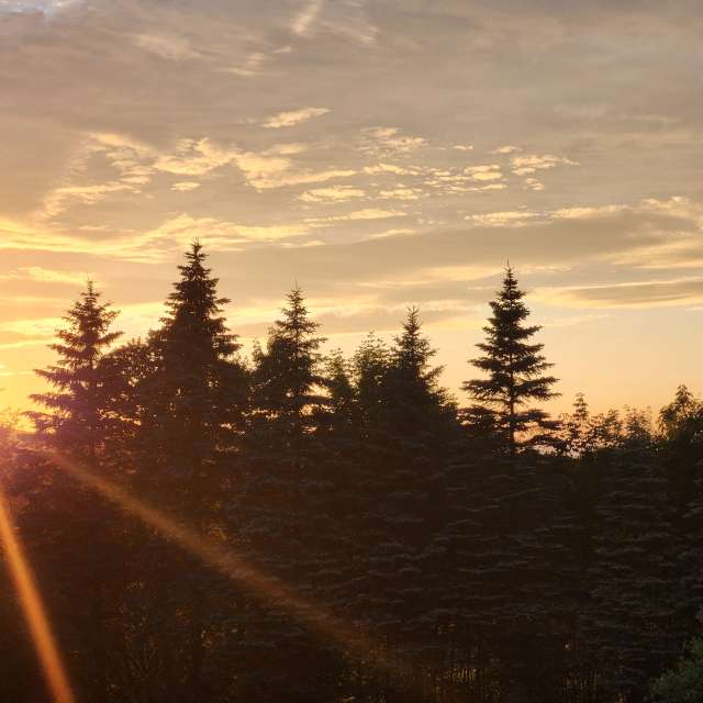 Pronósticos del tiempo con hermosas fotos de imamoonpuppy