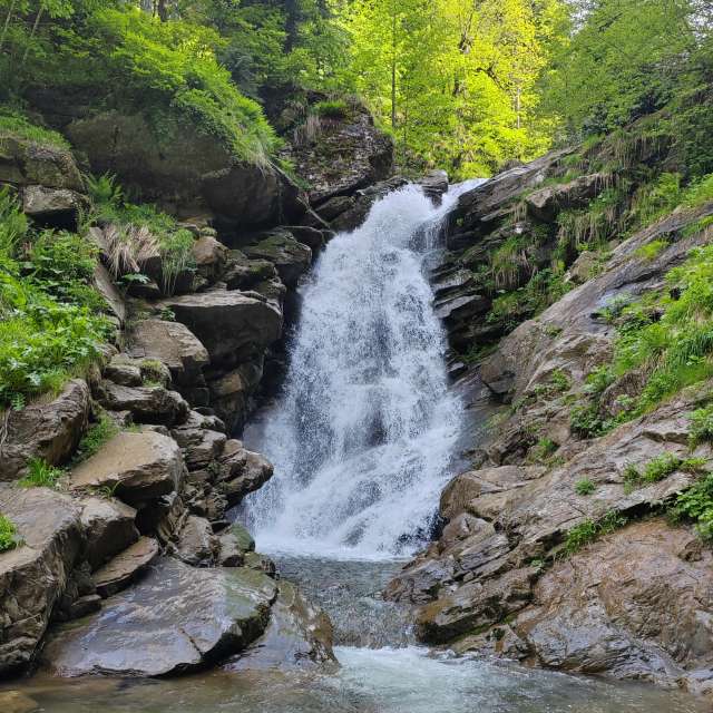 Fotos del Oso. Pronósticos del tiempo con hermosas fotos de Albert_Smelovtsev en Roza Khutor