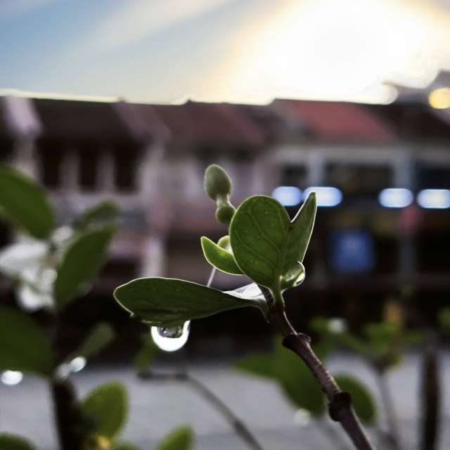 Weather forecasts with beautiful photos by Takimi-sky