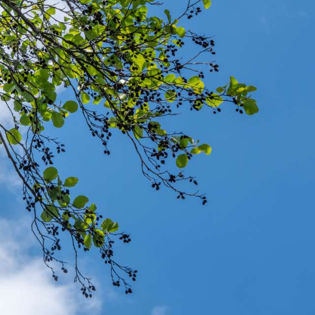 Weather forecasts with beautiful photos by Airene