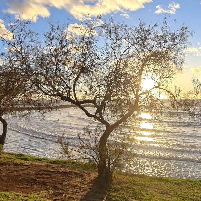 Prévisions météo avec de superbes photos de newgen