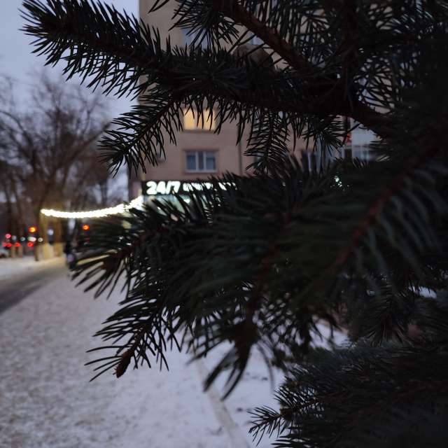 Previsões do tempo com lindas fotos de Lyu