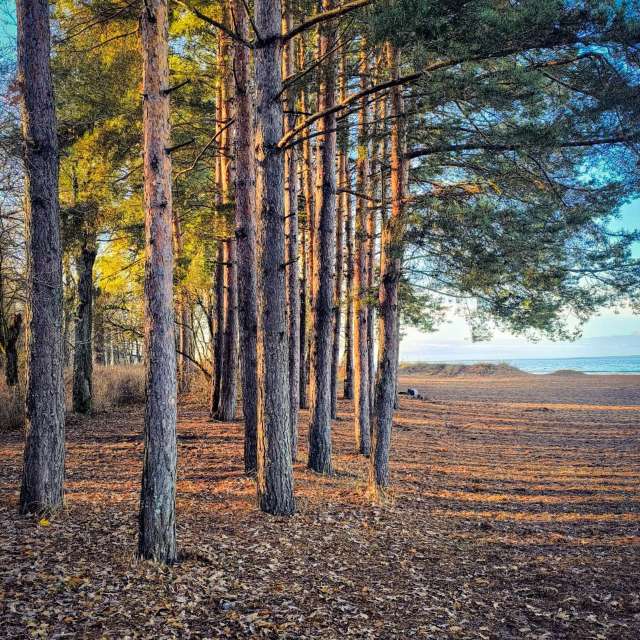 Jeaの美しい写真による天気予報