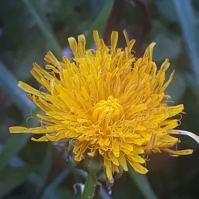 Wettervorhersagen mit schönen Fotos von Balint