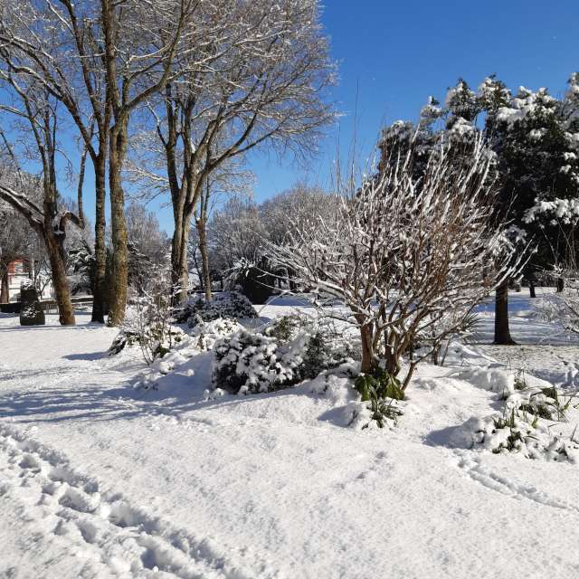 Прогнозы погоды с чудесными фотографиями, сделанными Ninette