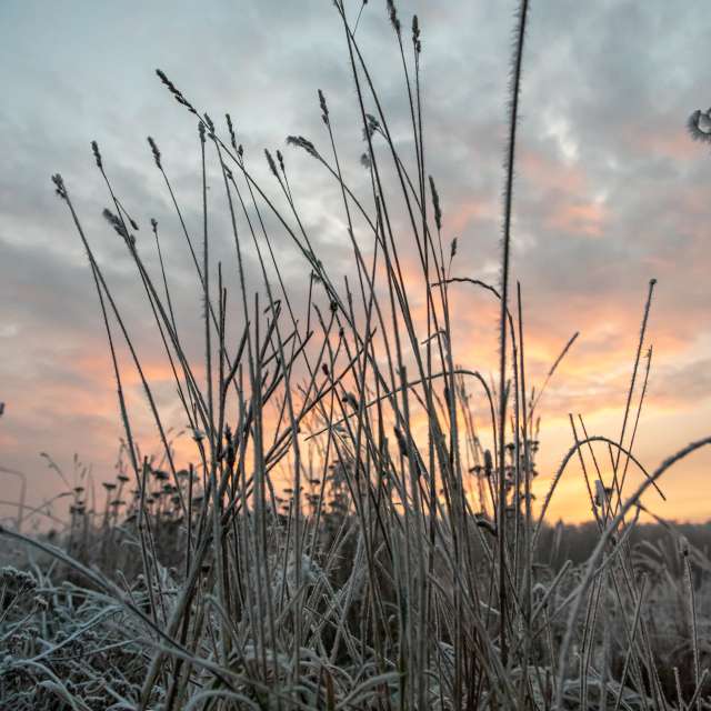 Weather Photos in World. Weather forecasts with beautiful photos by RobertNagaj