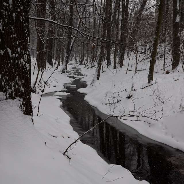 Fotos Riacho. Previsões do tempo com lindas fotos de Vasek325 em Praha 4