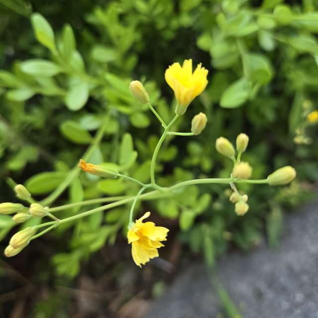 Prévisions météo avec de superbes photos de Jessica_A