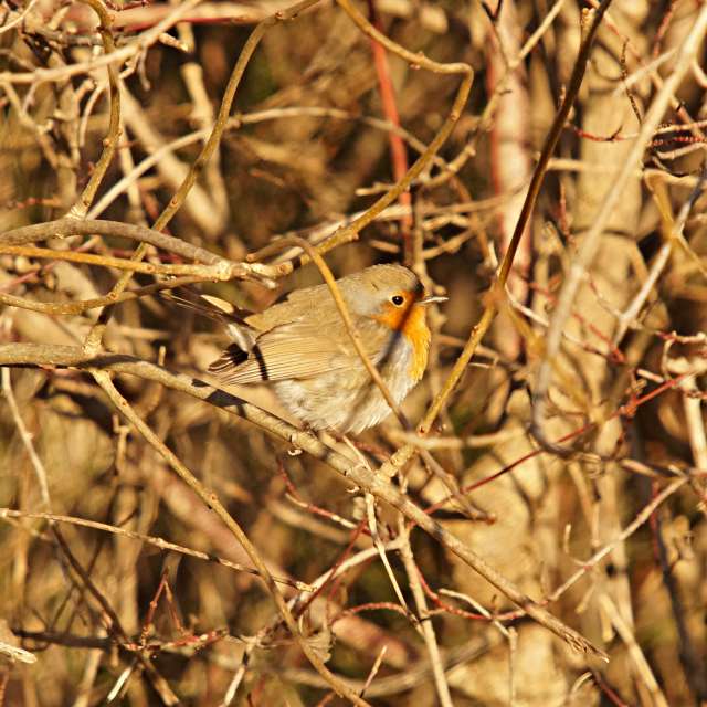 Weather forecasts with beautiful photos by tony5636