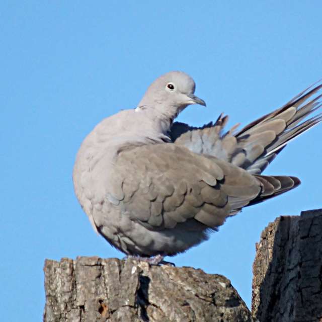 Weather forecasts with beautiful photos by tony5636