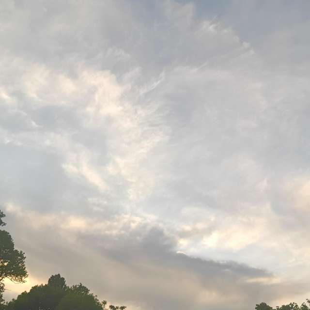 Fotos del Camino. Pronósticos del tiempo con hermosas fotos de YanBog en București