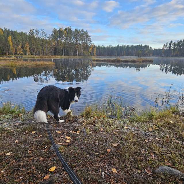 Previsões do tempo com lindas fotos de Piia