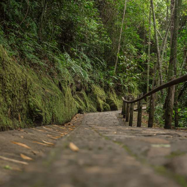 Prévisions météo avec de superbes photos de Estefania Gonzalez Espitia