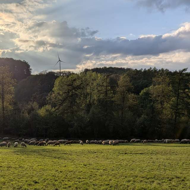 Wettervorhersagen mit schönen Fotos von Frank Neuhaus