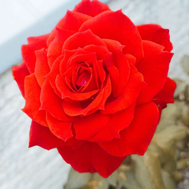 Previsões do tempo com lindas fotos de Bia1995