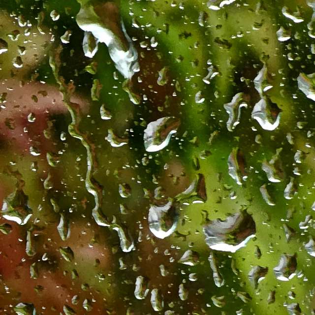 Fotos Pizza. Previsões do tempo com lindas fotos de Seni em Velbert