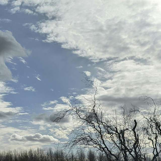 Fotografii cu Nori. Prognoze meteo cu poze minunate făcute de kns666 în Yarwell Mill Country Park