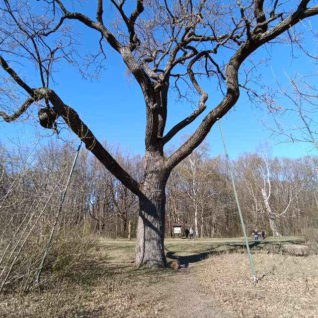 Pronósticos del tiempo con hermosas fotos de Andrey72