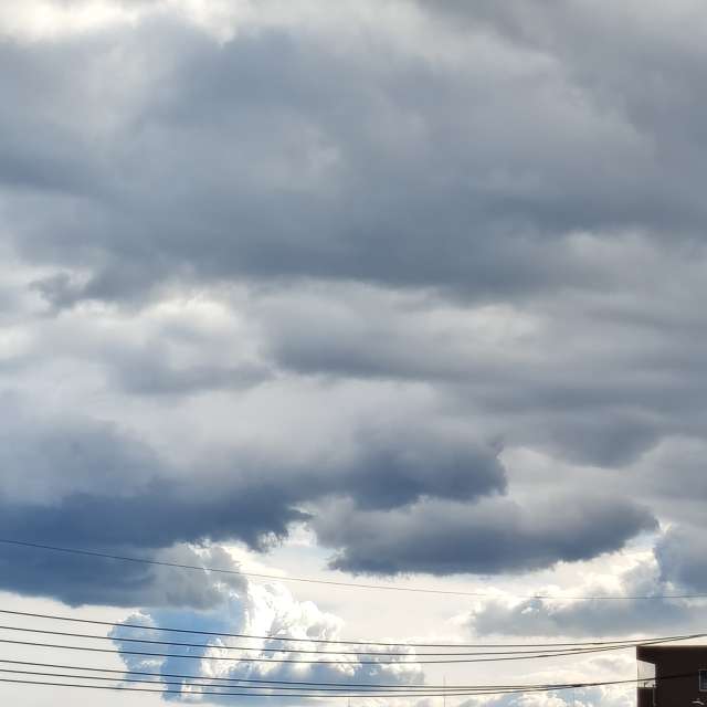 Grassy. Weather forecasts with beautiful photos by あさのジジ Photos in World