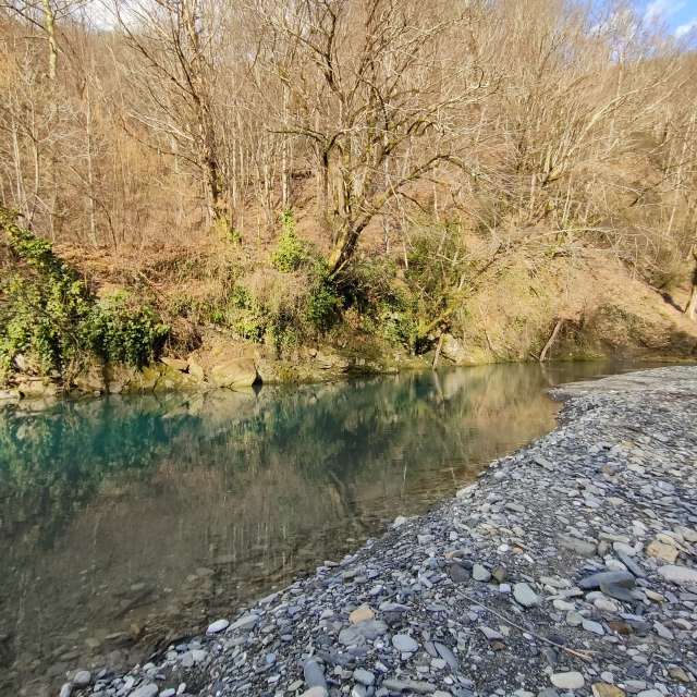 Fotos del Clima. Pronósticos del tiempo con hermosas fotos de Елен en Sochi