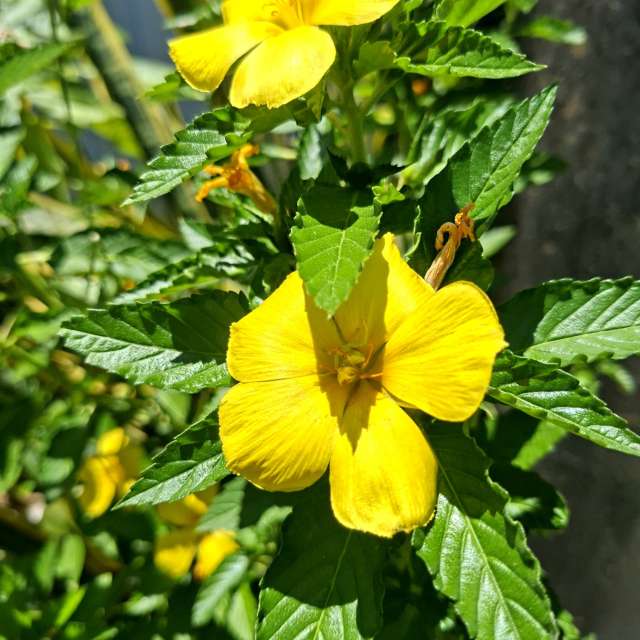 Bunch. Weather forecasts with beautiful photos by Wen-ya Huang Photos in Kaohsiung City