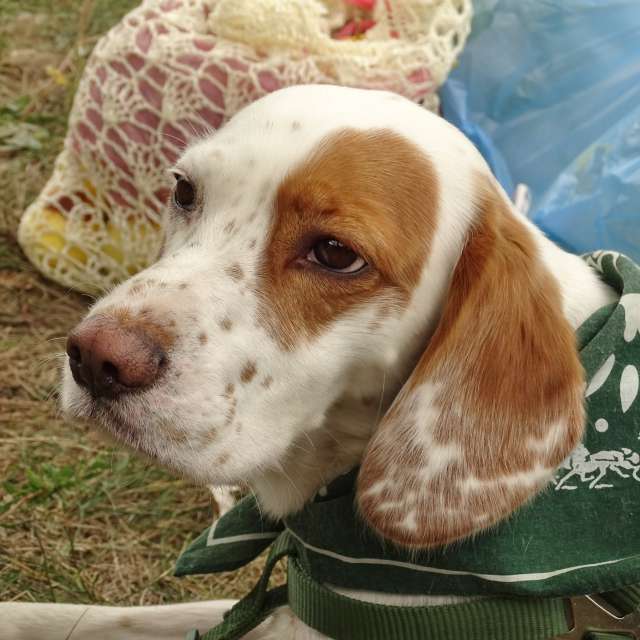 Holding. Weather forecasts with beautiful photos by Михаил Гавриков Photos in Kharkiv